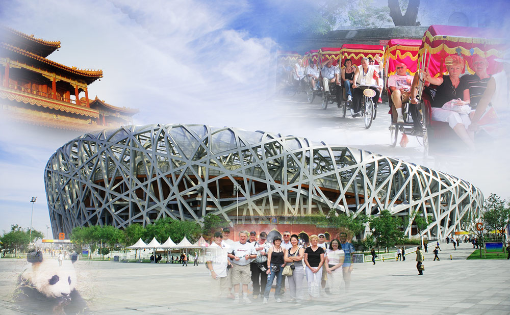Photo of Panda, Beijing Hutong, Lama Temple and Olympic Park one day bus tour